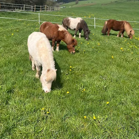 Wohlfühl-ferienhaus Eifel-landurlaub Mit Herz Сasa de vacaciones