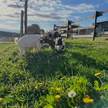Wohlfuehl-ferienhaus Eifel-landurlaub Mit Herz *