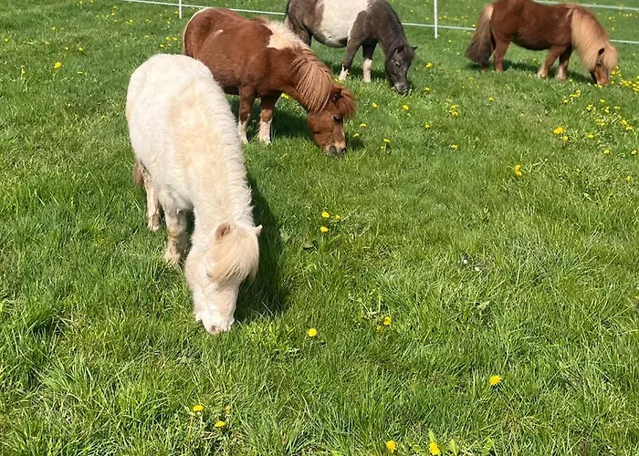 Wohlfuehl-ferienhaus Eifel-landurlaub Mit Herz Casa de Férias