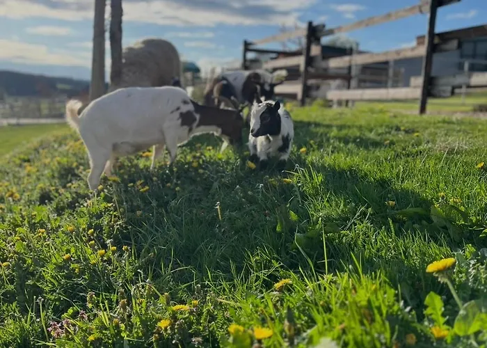 Wohlfuehl-ferienhaus Eifel-landurlaub Mit Herz *